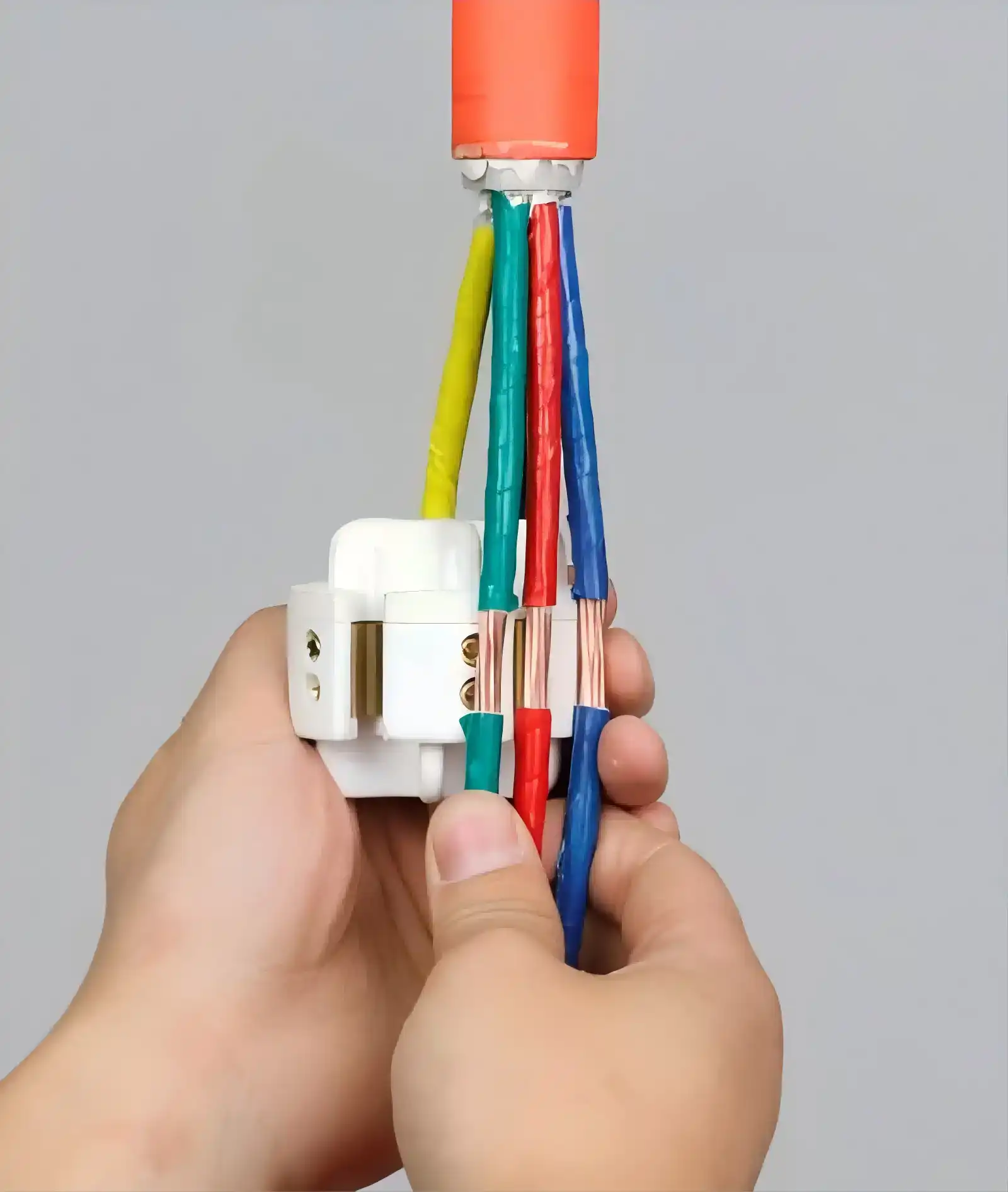 branch cable branch cable