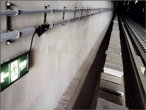 Cable Branch Cable Branch